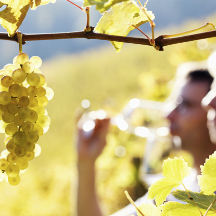 Wine-shutterstock_69763123